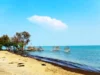 5 Pantai di Subang Punya Pesona Surga yang Eksotis, View Ga Kaleng-Kaleng!