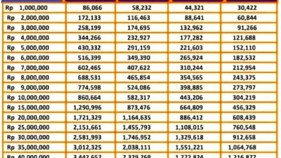 Pinjaman Online BRI Langsung Cair KTP