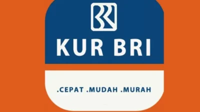 Pinjaman KUR BRI