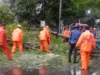 Hujan Deras Pohon Tumbang Tutupi Jalan depan Benpas Subang 