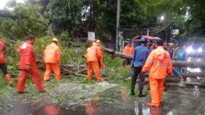 Hujan Deras Pohon Tumbang Tutupi Jalan depan Benpas Subang 