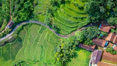 Indeks Kualitas Lingkungan Hidup Indonesia Meningkat di Tahun 2023, Upaya Terus Ditingkatkan untuk IKLH (Image From: Pexels/Tom Fisk)