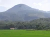 Sejarah Gunung Tampomas di Sumedang, Jawa Barat