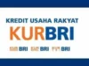 Tabel KUR BRI 2024 Rp200 Juta