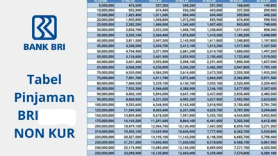 Tabel Angsuran Bank BRI Non KUR Terbaru 2024