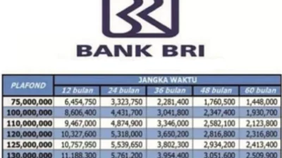 Tabel Pinjaman Bank BRI 100 Juta Non KUR Terbaru 2024