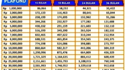 Tabel Pinjaman Non KUR Bank BRI Terbaru 2024