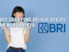 Auto Grab Fund BRI Kur Apa Itu dan Manfaatnya