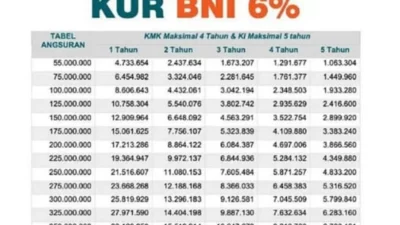 Tabel Angsuran KUR BNI Terbaru 2024