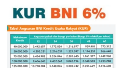 Tabel Angsuran KUR BNI 100 Juta Terbaru 2024