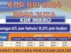 KUR BRI 2024 Rp50 Juta Syarat dan Cara Pengajuan Ada disini