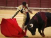 Banteng Mengamuk di Arena Matador Armenia, Penonton Panik