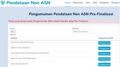 Link untuk Cara Cek Data Non ASN Tahun 2024 di BKN