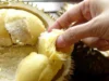 Makanan yang Tidak Boleh Disantap Bersama Durian