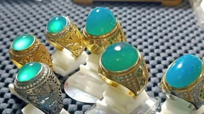 Jenis Bacan Doko untuk Obat