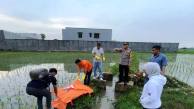 Mengambang di Saluran Irigasi Pasarjengkol Karawang, Mayat Tanpa Identitas Hebohkan Warga