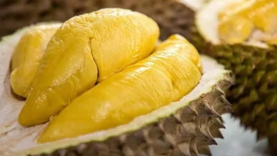 Raja Durian yang Mahal, Menelisik Alasan Dibalik Harga Durian Musang King