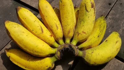 4 Rekomendasi Pisang Untuk Buat Kue