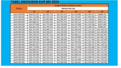 Tabel Angsuran KUR BRI 2024 untuk Pinjaman Rp 50 Juta Cicilan 60 Bulan