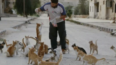 Inilah 8 Merek Makanan Kucing yang Sedang Naik Daun di 2024, Pilihan Terbaik untuk Kucing Sehat dan Bahagia Anda, Nomor 3 Paling Terbaik?