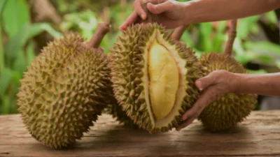 Ragam Resep Olahan Durian Hidangan Lezat Yang Memanjakan Lidah