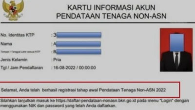 Cara Cek dan Daftar Pendataan Non ASN 2024