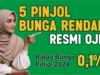 Tenang Tenang, Ini Dia Daftar Pinjaman Online Bunga Rendah 2024