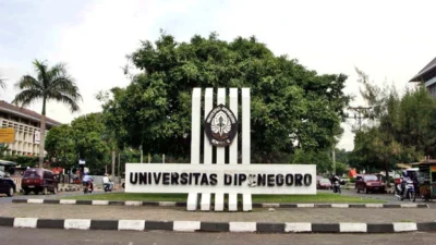 Gambaran Nilai Rata-rata Rapor Lulus SNBP 2024 di Universitas Diponegoro (UNDIP)