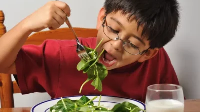 Apa Jadinya Jika Kita Cuman Makan Sayur?