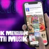 Bagaimana TikTok Mengubah Industri Musik? ( Sumber Foto Froyunion.com)