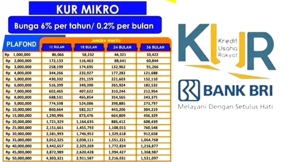 Tabel Angsuran Pinjaman KUR BRI Terbaru 2024