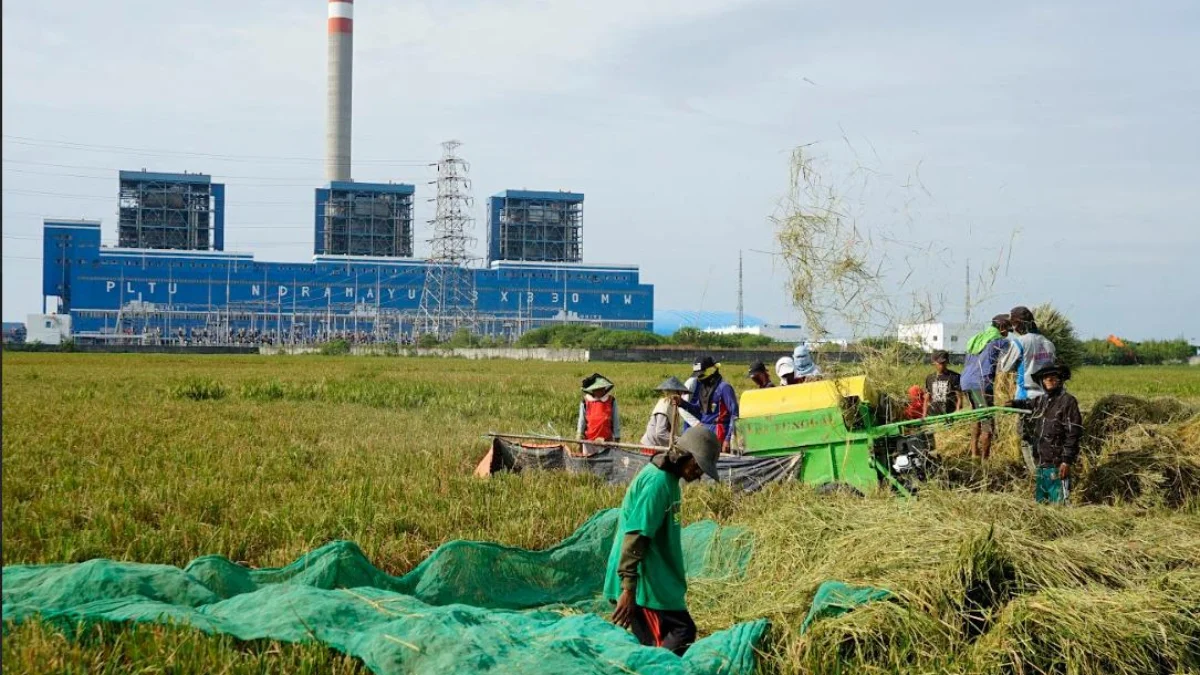 Tingkatkan Tata Kelola, PLN Sukses Turunkan Tingkat Risiko ESG