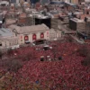 Terjadi Penembakan di Kansas City saat Parade Super Bowl Menyebabkan 21 Orang Terluka (Image From: CP24)