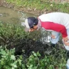 Hutan Kota di Karawang Tercemar Limbah Hitam Pekat Beracun