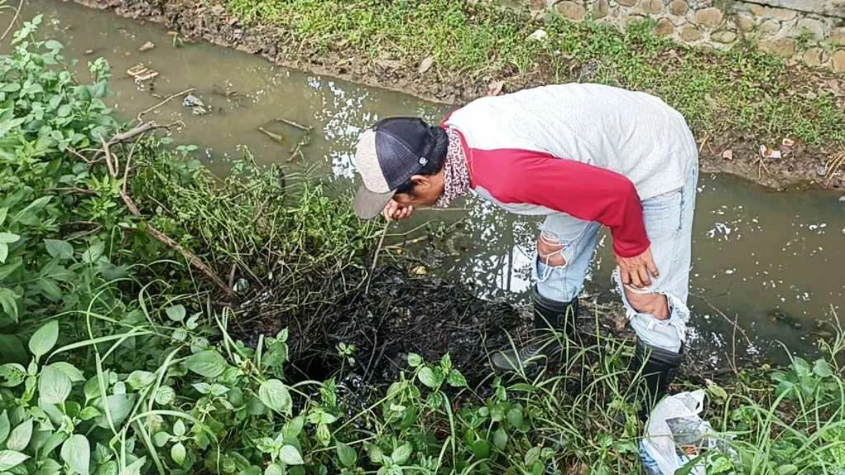 Hutan Kota di Karawang Tercemar Limbah Hitam Pekat Beracun