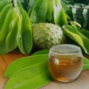 5 Resep Jamu Rebusan Daun untuk Turunkan Tekanan Darah Tinggi