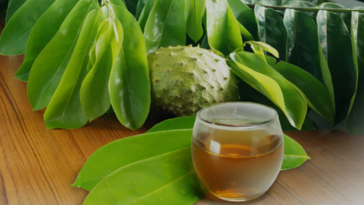 5 Resep Jamu Rebusan Daun untuk Turunkan Tekanan Darah Tinggi