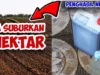 Racikan Pupuk Organik Cair Terbaik, 7 Hari Langsung Keliatan Efeknya! Mau?