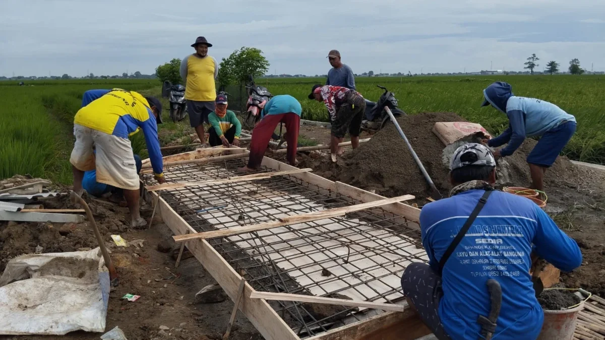 petani di Desa Sukareja