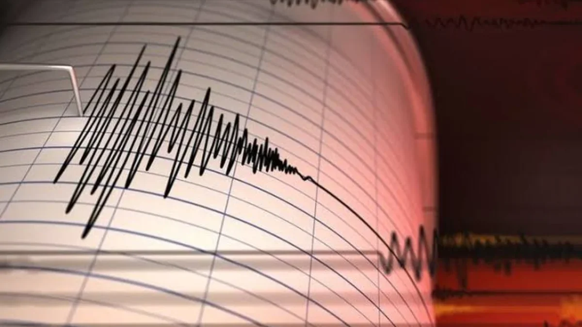 Tanggapan BPBD dan Koordinasi Penanganan Bencana Gempa Gresik!