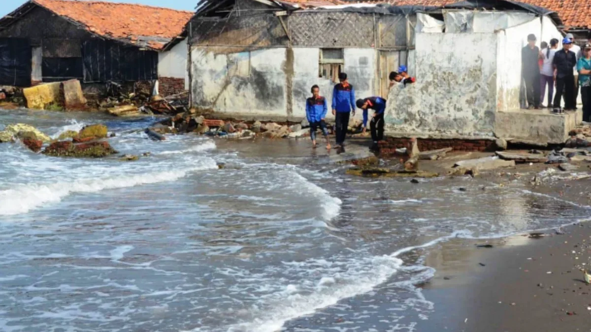 Pesisir Utara Habis Terkena Abrasi, Ratusan Hektar Lahan dan Pemukiman Warga Hilang