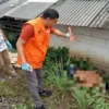 Diduga Tersambar Kereta Api, Seorang Pria Ditemukan Tewas di Tanjungpura Karawang