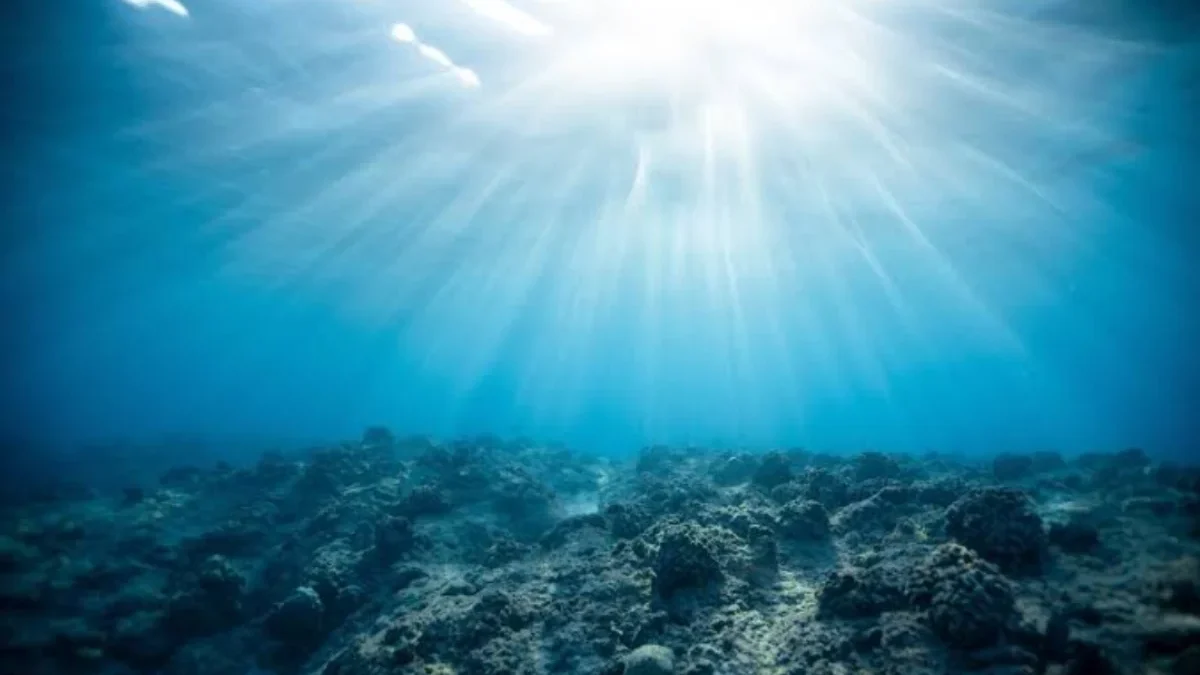 Mengintip Dunia Bawah Laut: Challenger Deep, Titik Terdalam di Bumi yang Belum Tersentuh