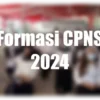 formasi cpns 2024