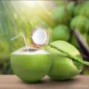 Manfaat Tak Terduga dari Minum Air Kelapa Setiap Hari untuk Kesehatan