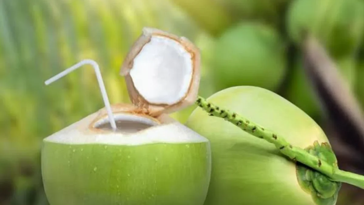 Manfaat Tak Terduga dari Minum Air Kelapa Setiap Hari untuk Kesehatan