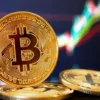 Apakah Harga Bitcoin Akan Melejit Lagi? Fakta Para Investor Kripto Mulai Borong BTC