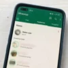 Copilot Kini Ada di WhatsApp! Ngobrol Sama AI Segampang Chat Teman