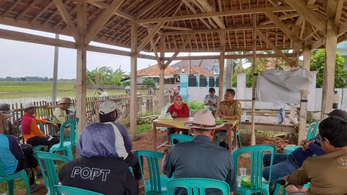 DADAN RAMDAN/PASUNDAN EKSPRES PENYULUHAN: Kepala UPTD Pertanian Pagaden Barat H. Rahmat, Korluh Cucun bersama