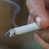 Mengapa Masyarakat Beralih ke Rokok Murah? Ini Penjelasan Bea Cukai